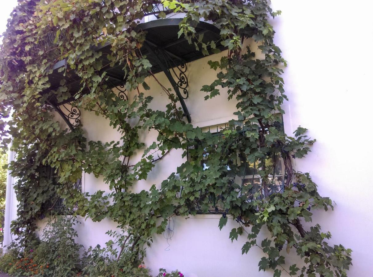 Fesztivál Nyaralóház Zamárdi Exterior foto